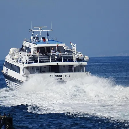 Incoming Cesare Cortese 招待所